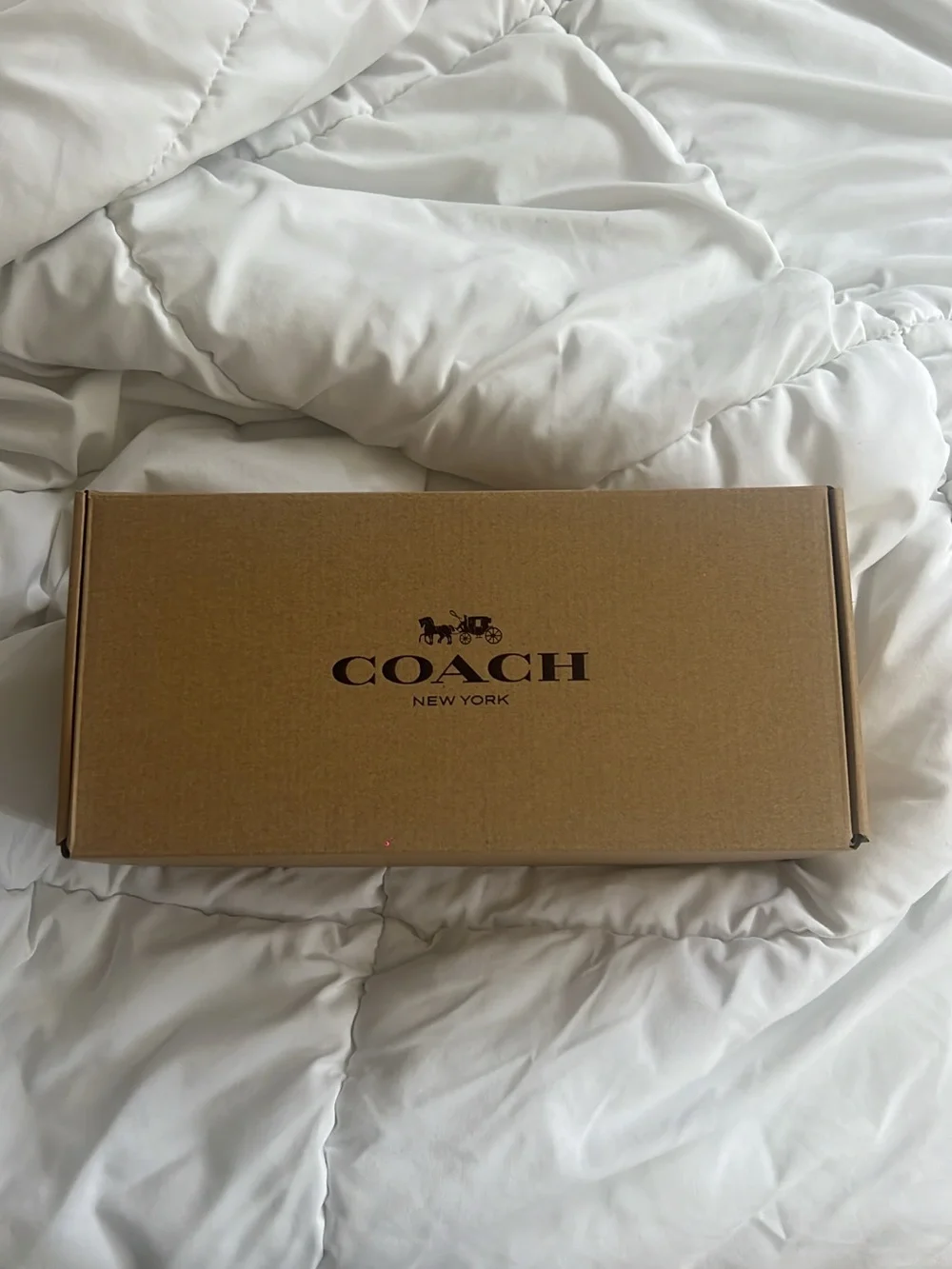 Viral COACH Women's Brown Signature Kitten Heel Sandals with Buckle